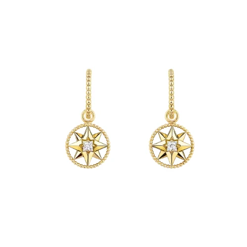 Dior Rose des Vents — Earrings